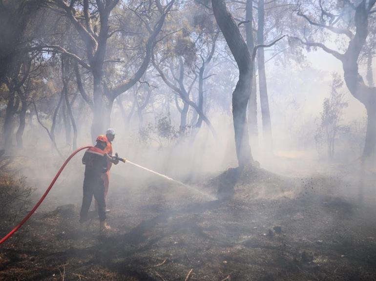 Antalyada orman yangını kontrol altında