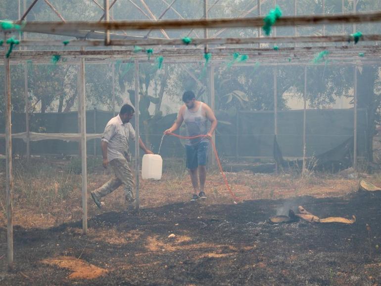 Antalyada orman yangını kontrol altında