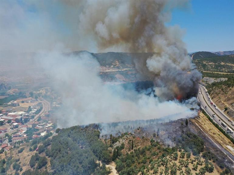 Bursada ormana girişler yasaklandı