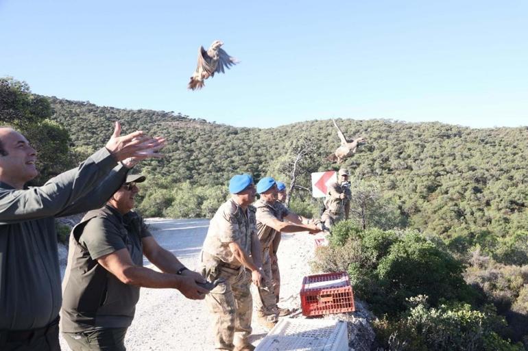 İzmirde kınalı keklikler doğaya salındı