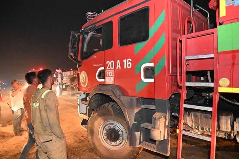 Uşakta orman yangını; bir çiftlik tahliye edildi