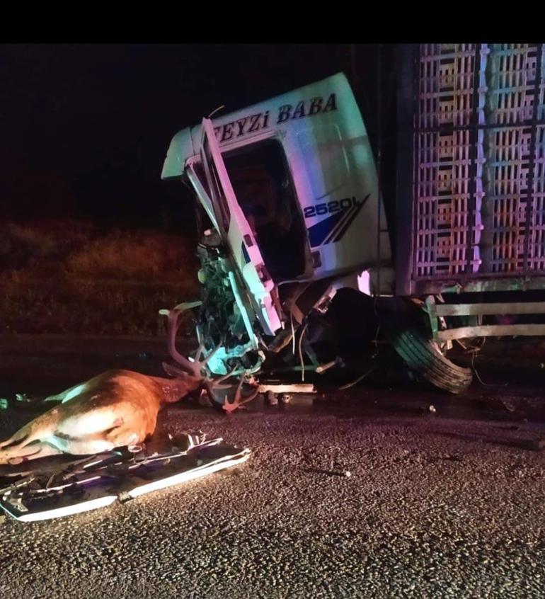 Hafif ticari araç, yola çıkan geyiğe çarptıktan sonra kamyonla çarpıştı; 1 ölü, 1 yaralı