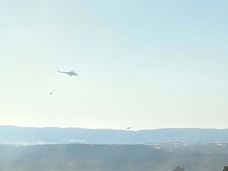 Uşak’ta tarım arazisinde çıkan yangın ormana sıçradı