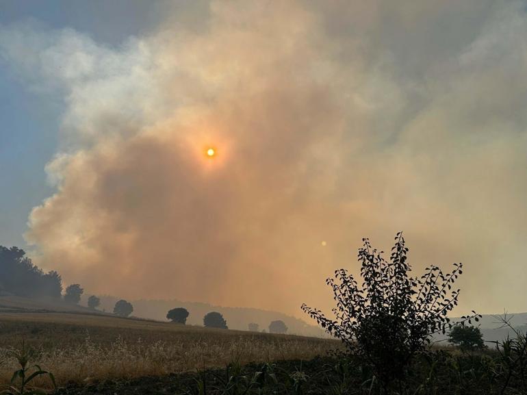 Uşak’ta tarım arazisinde çıkan yangın ormana sıçradı