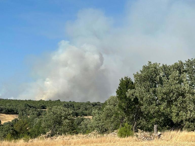 Uşak’ta tarım arazisinde çıkan yangın ormana sıçradı