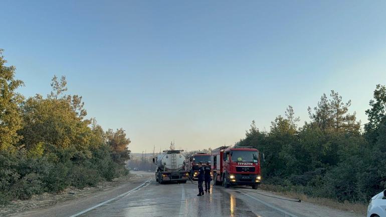 Bursada çıkan orman yangını kontrol altında