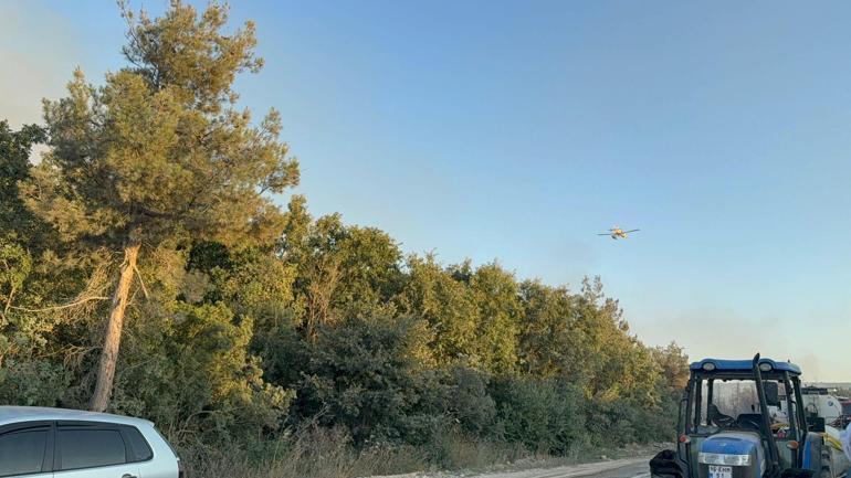 Bursada çıkan orman yangını kontrol altında