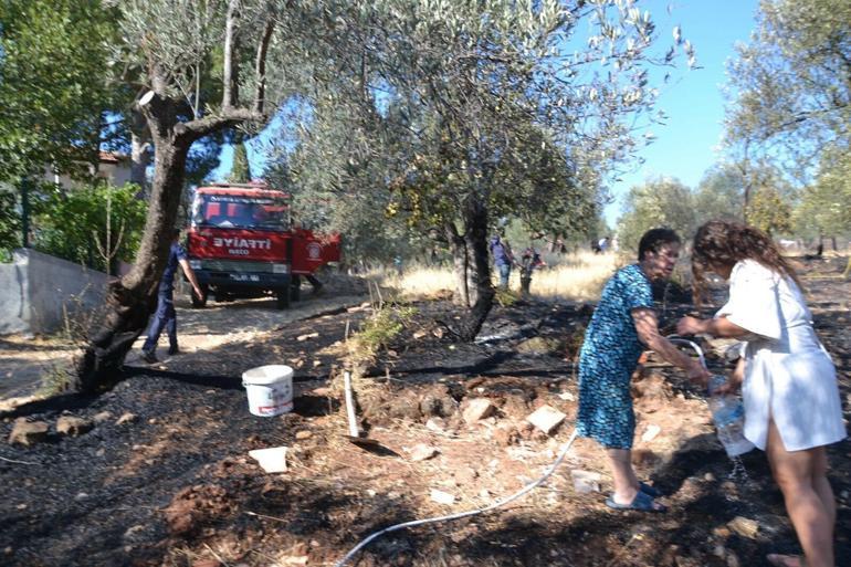 Ayvalıkta yerleşim yeri yakınında zeytinlik yangını