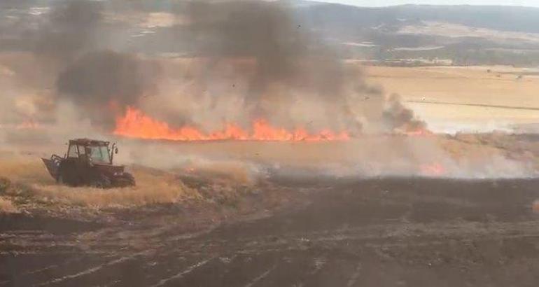Çorumda buğday tarlasındaki yangında 30 dönüm alan zarar gördü