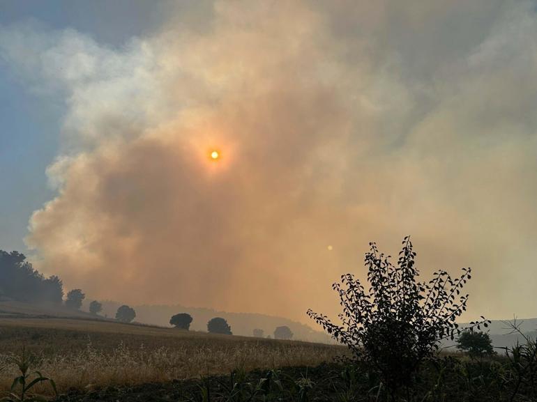 Uşak’ta tarlada çıkıp ormana sıçrayan yangın 11 saatte kontrol altına alındı
