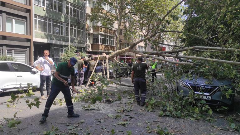 Şişlide devrilen ağaç 2 araca zarar verdi