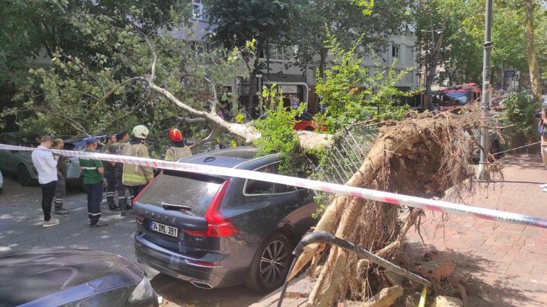 Şişlide devrilen ağaç 2 araca zarar verdi
