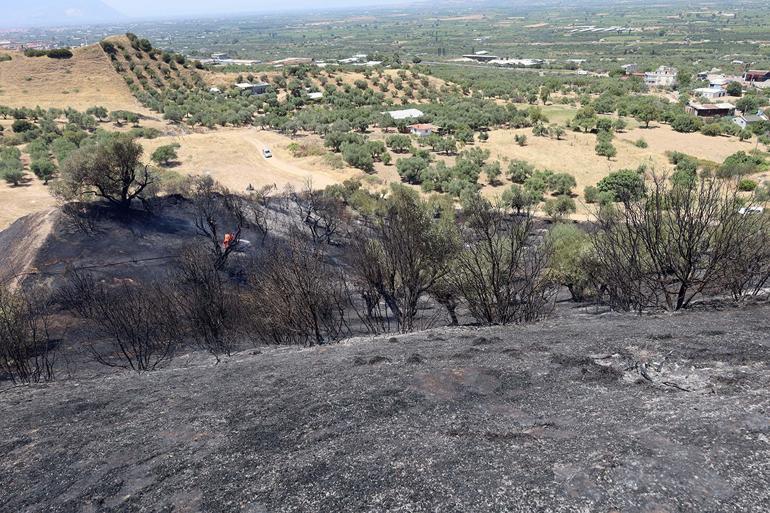 Tarım arazisinde çıkan yangın ormana sıçradı