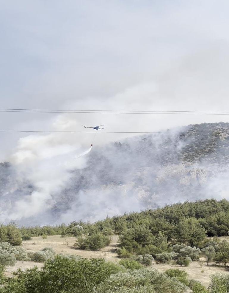 Bilecik’te çıkan orman yangını kontrol altında