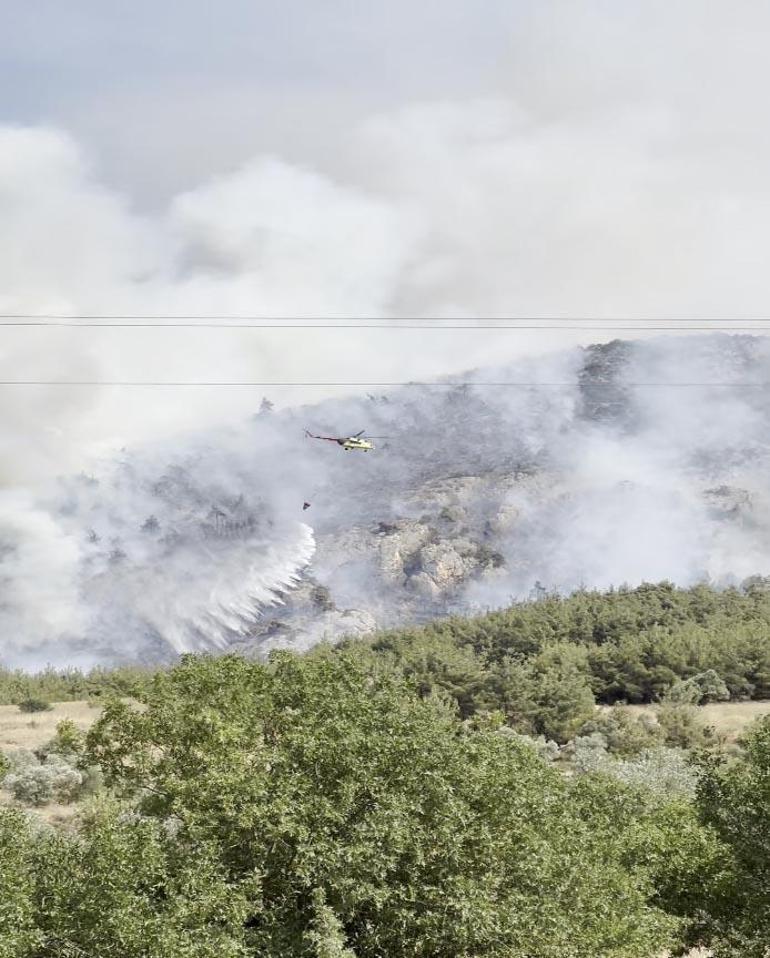 Bilecik’te çıkan orman yangını kontrol altında