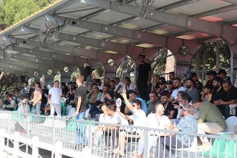 TİGEM tay satışından 23 milyon 45 bin lira gelir elde etti