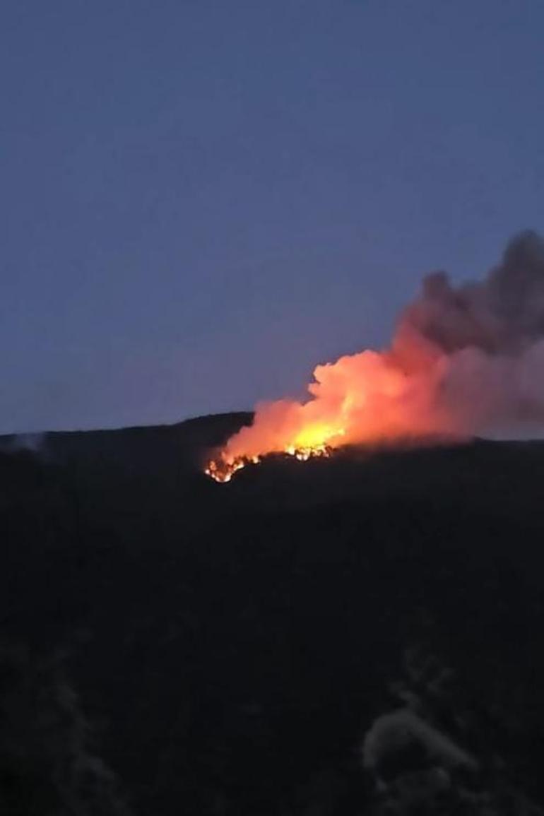 Çankırıda orman yangını