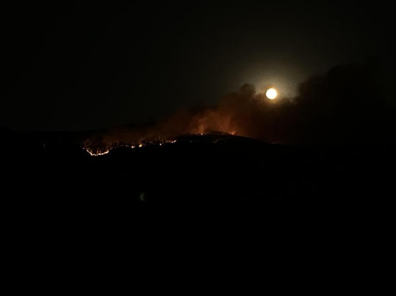 Çankırıda orman yangını