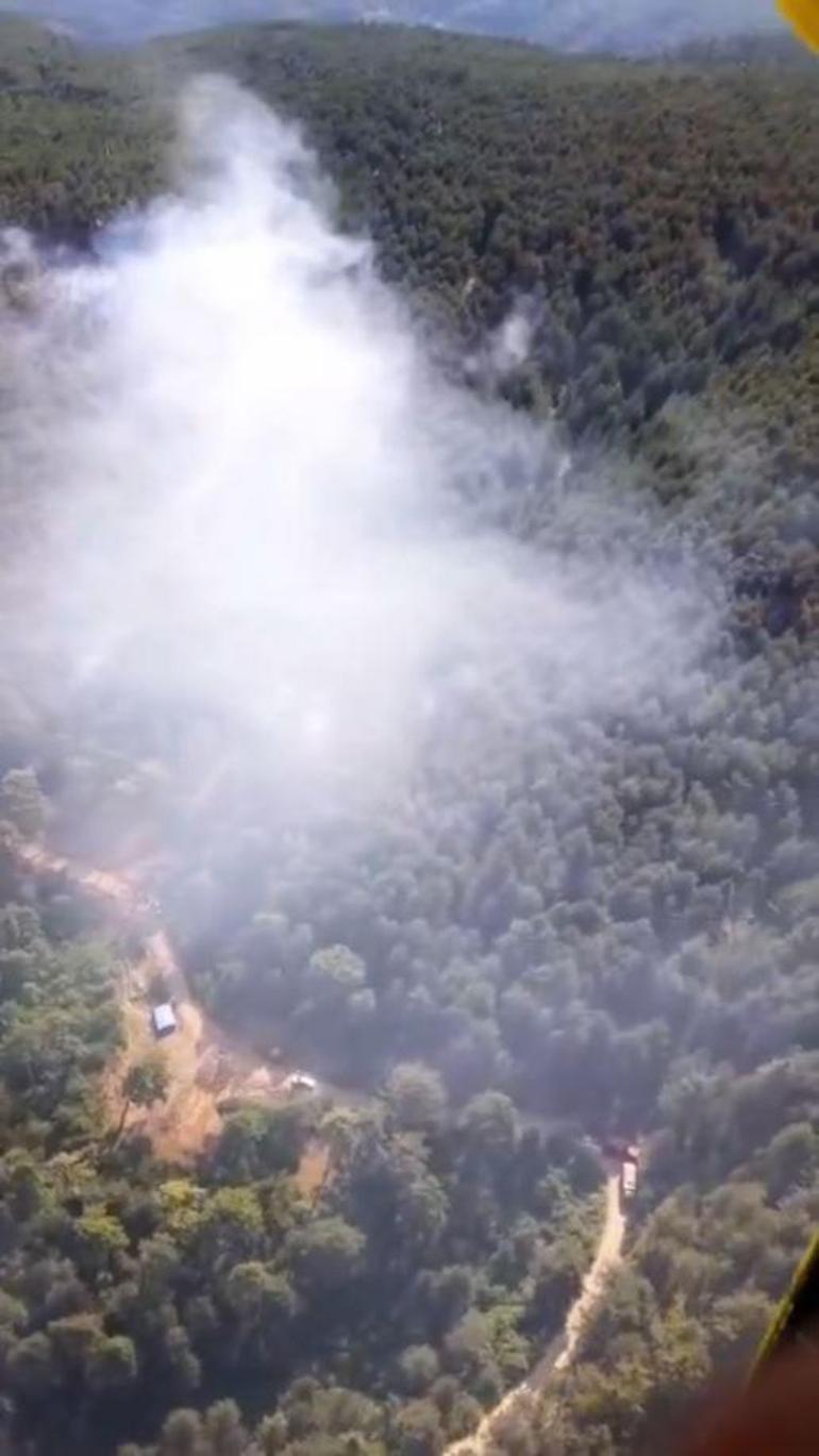 Çankırıdaki orman yangını, kısmen kontrol altında