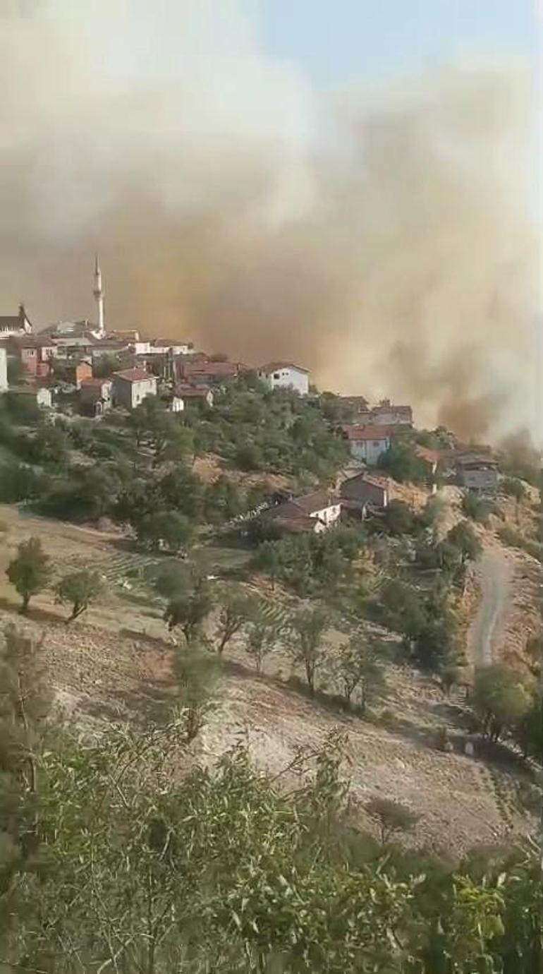 Bursa-Balıkesir sınırında orman yangını