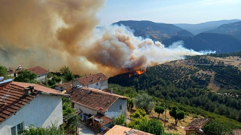 Bursa-Balıkesir sınırında orman yangını
