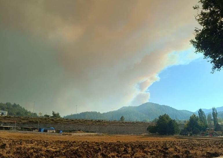 Suriyedeki orman yangını, yeniden sınıra yaklaştı