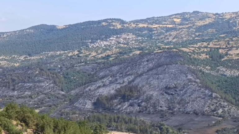 Balıkesirdeki orman yangını kontrol altında