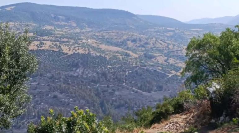 Balıkesirdeki orman yangını kontrol altında