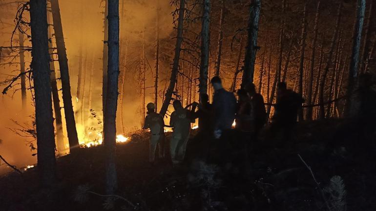 Çankırıdaki yangında 40 hektar orman zarar gördü