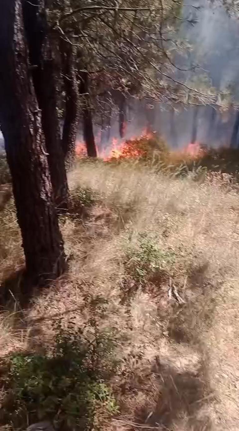 Aydos Ormanında çıkan yangın kontrol altına alındı