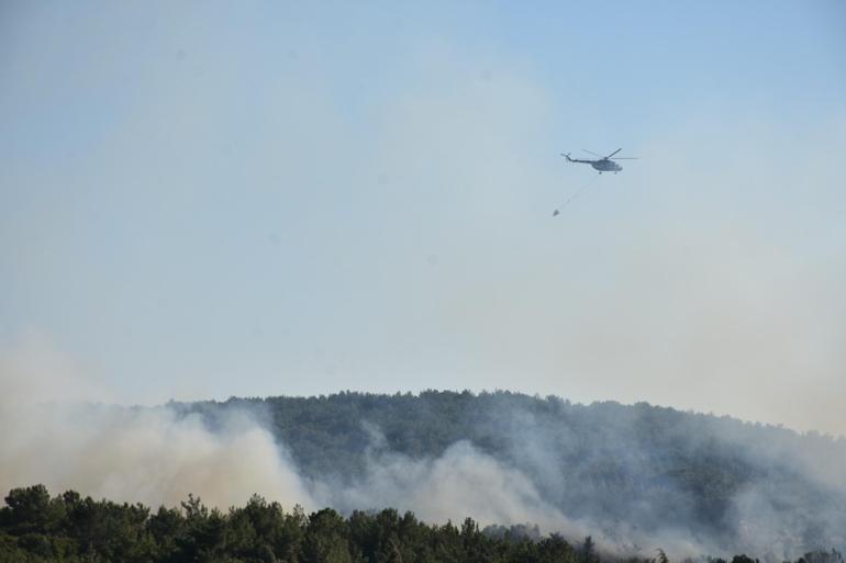 İzmirde orman yangını