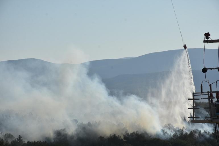 İzmirde orman yangını
