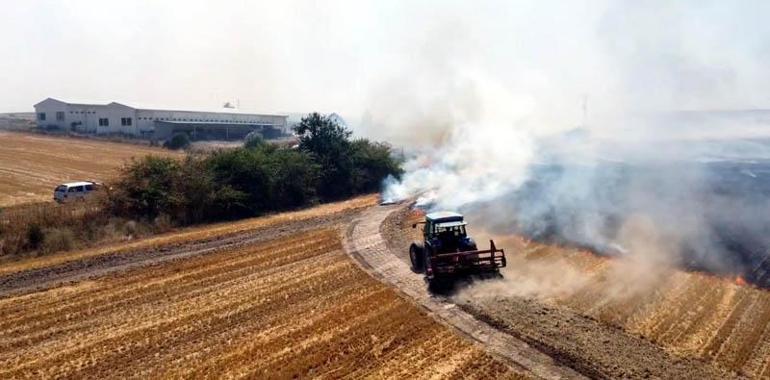 Edirnede anız yangını; kara yolu kapatıldı