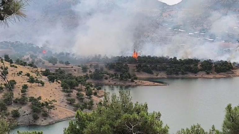 Adıyaman’da orman yangını