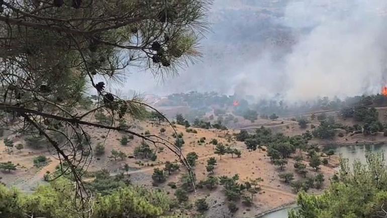 Adıyaman’da orman yangını
