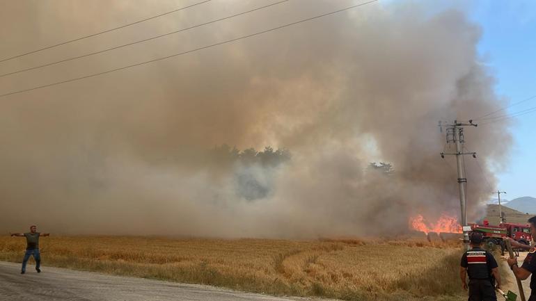 Boluda tarım arazisinde çıkıp ormana sıçrayan yangın kontrol altına alındı