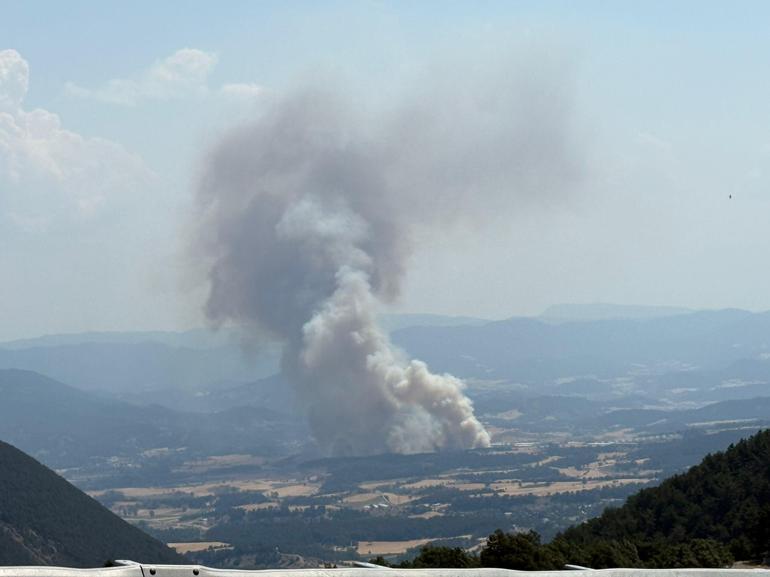 Boluda tarım arazisinde çıkıp ormana sıçrayan yangın kontrol altına alındı