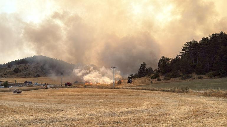 Boluda tarım arazisinde çıkıp ormana sıçrayan yangın kontrol altına alındı