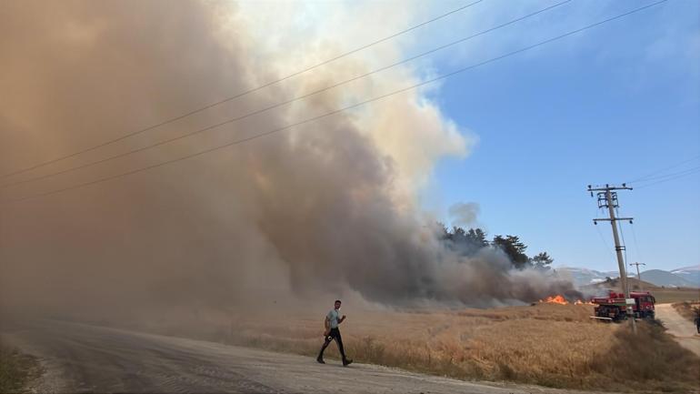 Boluda tarım arazisinde çıkıp ormana sıçrayan yangın kontrol altına alındı