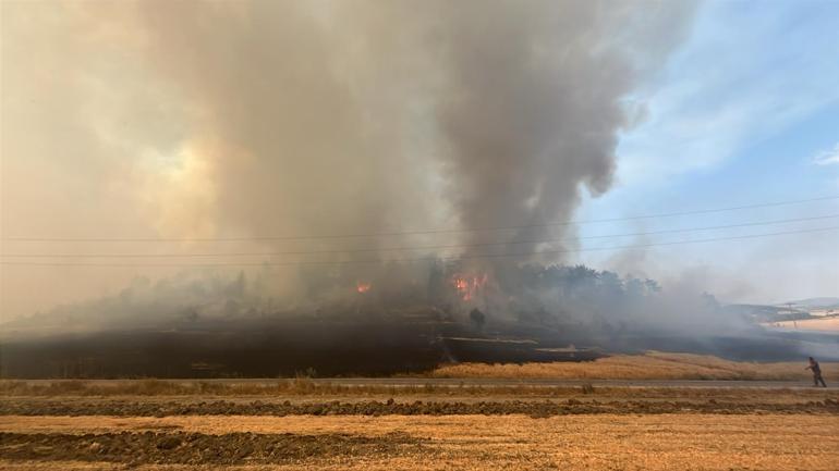 Boluda tarım arazisinde çıkıp ormana sıçrayan yangın kontrol altına alındı