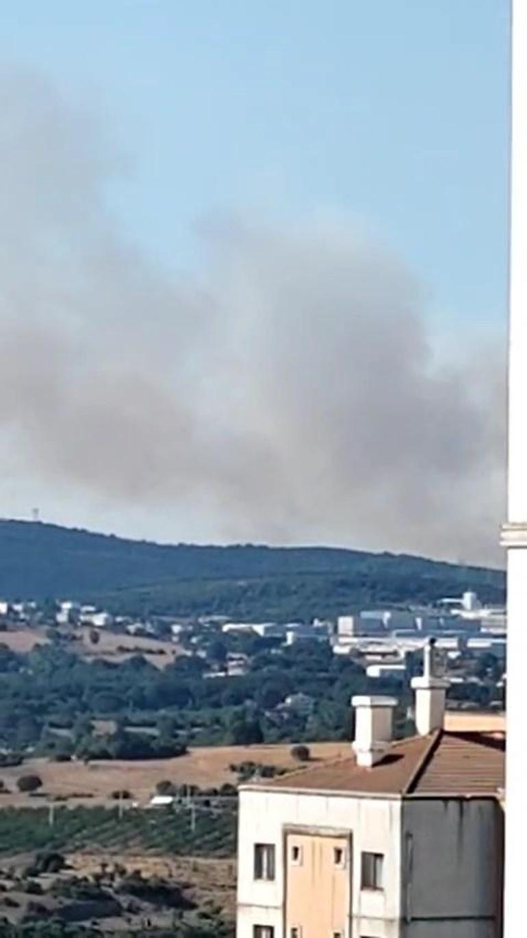 Kocaelideki orman yangını kontrol altında