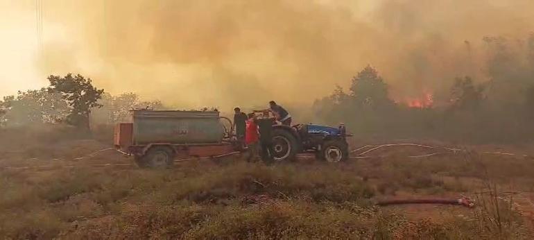 Kocaelideki orman yangını kontrol altında