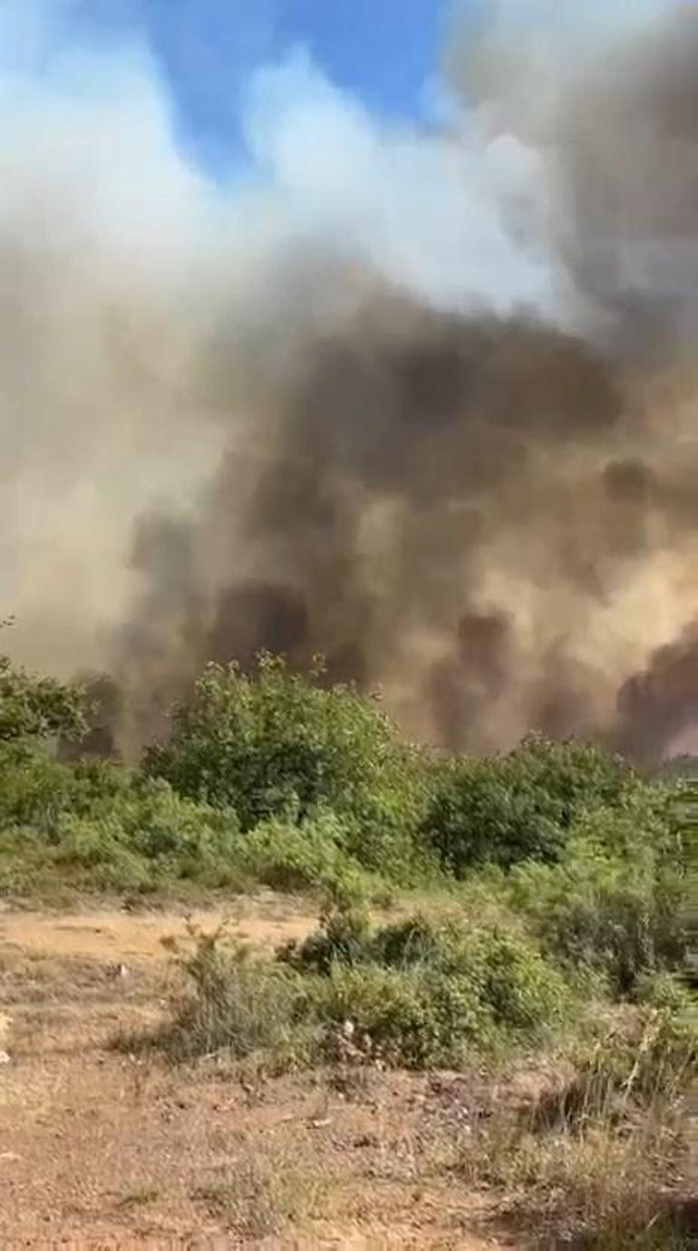 Kocaelideki orman yangını kontrol altında