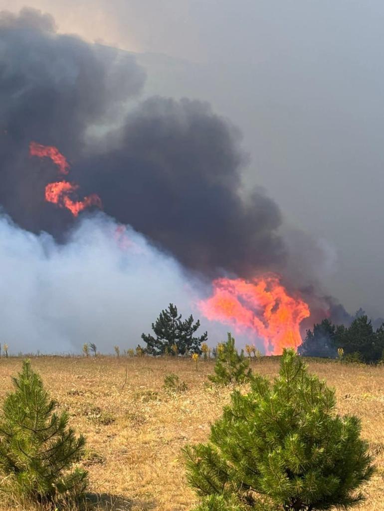 Konyadaki orman yangını 2nci gününde