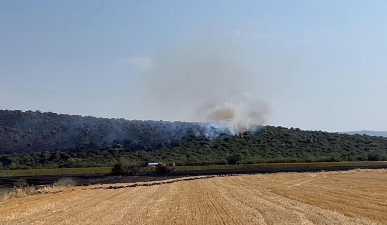 Bursa’da çıkan orman yangını kontrol altında