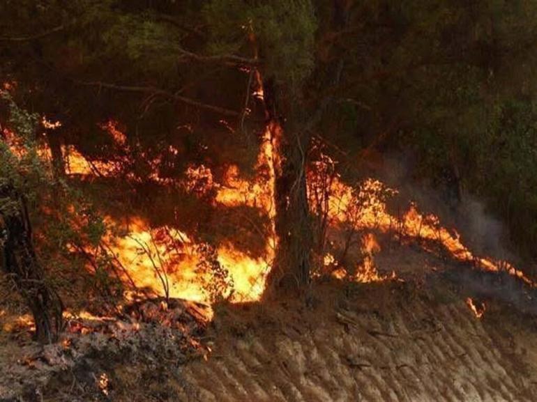 Manisadaki orman yangını 20 saat sonra kontrol altında