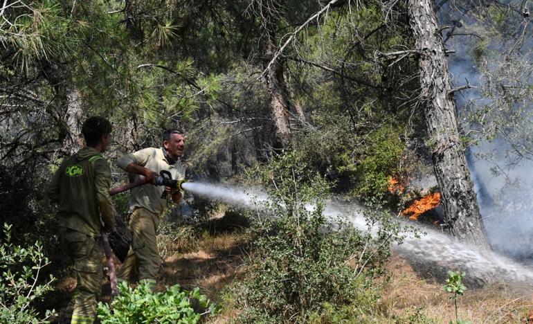 Tekirdağdaki orman yangını 2nci gününde