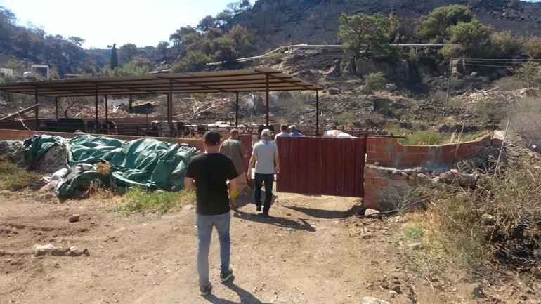 Çanakkaledeki orman yangını 21 saat sonra kontrol altında; yanan alanlar dronla görüntülendi