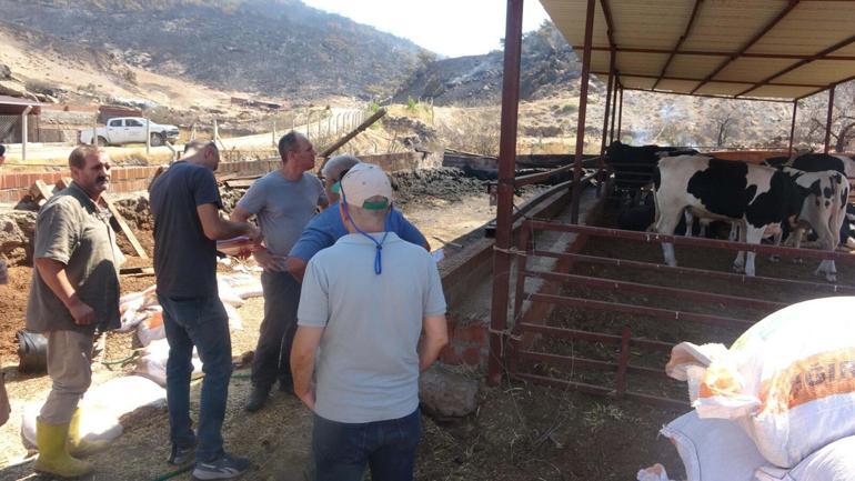 Çanakkaledeki orman yangını 21 saat sonra kontrol altında; yanan alanlar dronla görüntülendi