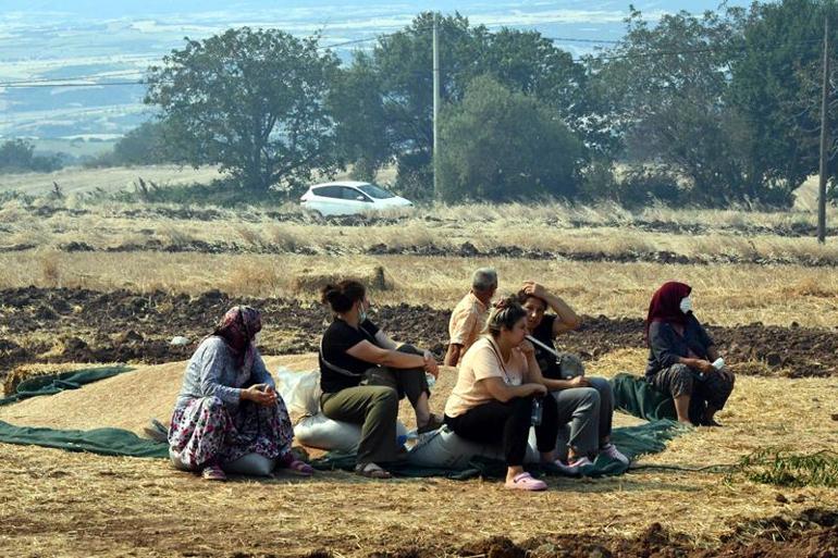 Tekirdağdaki orman yangını 2nci gününde